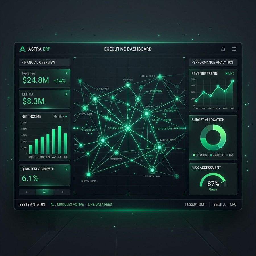 Enterprise ERP Systems